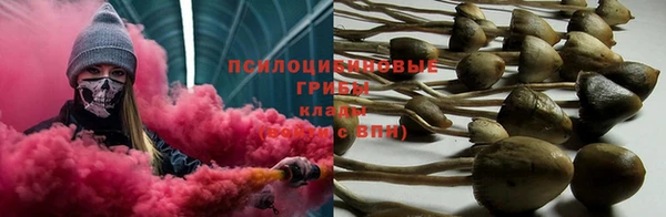 прущая мука Приозерск