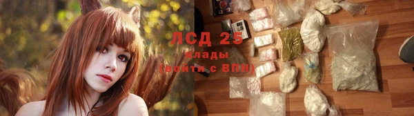 индика Алексеевка