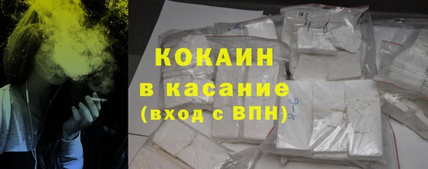 индика Алексеевка